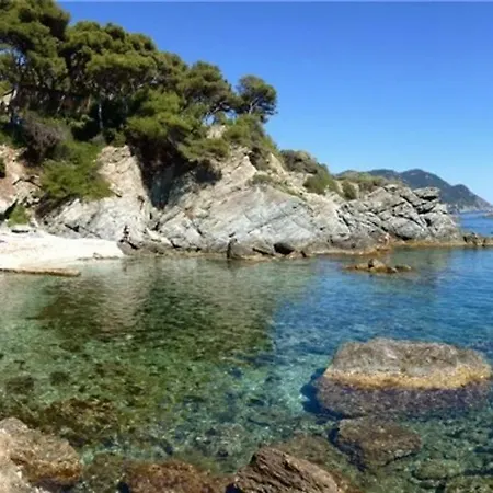 Apartment Studio Le Brusc 300m De La Mer *